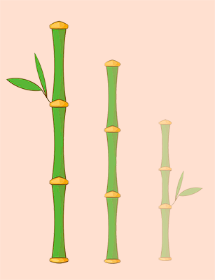 Правило трех гаданий